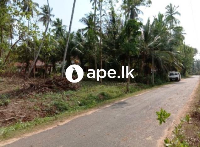 Coconut Land for Sale Nattandiya